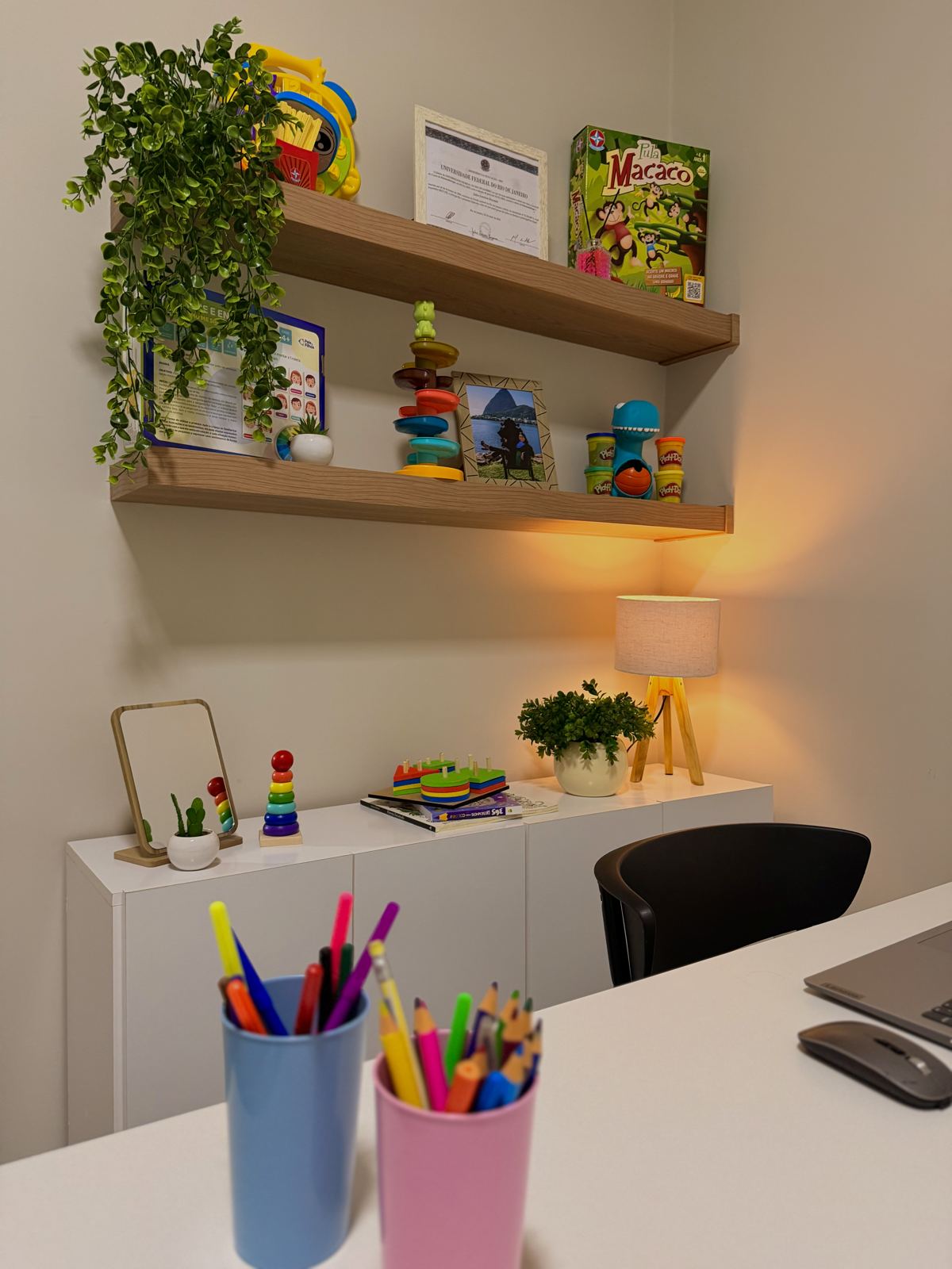 Sala de atendimento da Clínica Júlia Rezende, com prateleiras de madeira, luminária e materiais terapêuticos